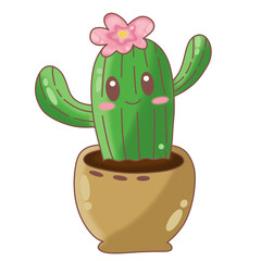 cactus in a pot