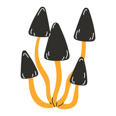 Poisonous Forest Mushrooms with Thin Black Stems and Yellow Caps