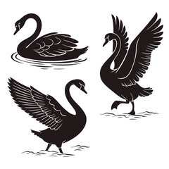 Set of black swan silhouettes in different poses, including swimming, standing, and spreading wings. Minimalist vector illustration on a white background
