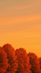 Naklejka premium [calm sky with warm gradient over autumn trees cinematic grain mobile wallpaper]