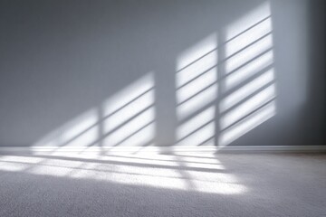 Sunlight casts shadows on a room's neutral colored walls and carpet