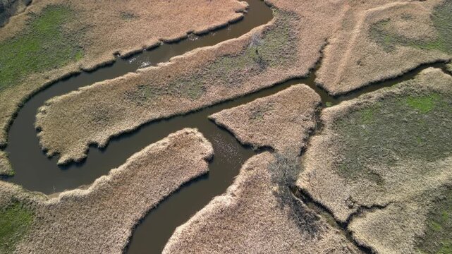 Low country marsh lands in South Carolina 