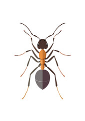 Playful Flat Vector Illustration of an Ant &ndash; Modern and Clean Design
