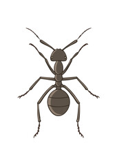 Ant Flat Vector Illustration