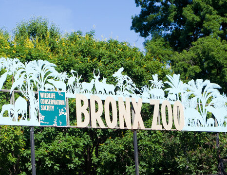 The Bronx, New York, USA; 24th June 2012: The Bronx Zoo in the Bronx, New York is one of the largest zoos in the US by area and the largest metropolitan zoo with over 2 million visitors a year.