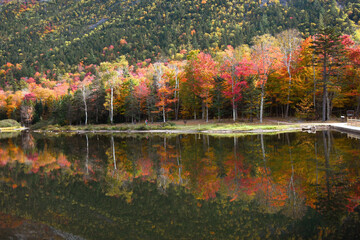 Early Morning Hike Around Lake Saco