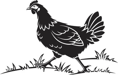 Obraz premium Black and White Illustration of a Chicken Walking on Grass