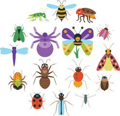 set of insects