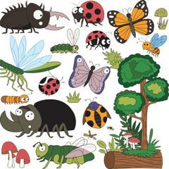 set of insects
