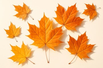 Obraz premium Scattered autumn maple leaves in vibrant orange and yellow hues on a light background