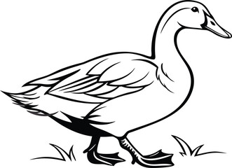 Stylized Duck Illustration Graceful Waterfowl Standing in Simple Grass Black and White Simplicity