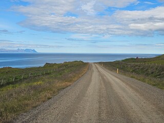 Roadtrip Straße wildes Island
