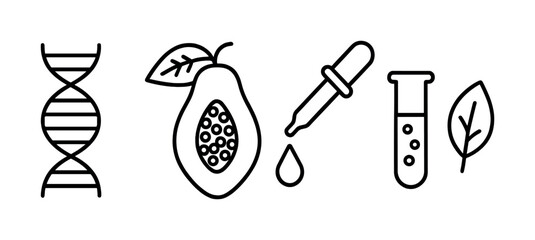 Dna papaya genetic engineering and biotechnology icons
