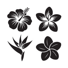 Fototapeta premium Collection of four stylized tropical floral silhouettes including hibiscus, plumeria, and bird of paradise isolated on white background