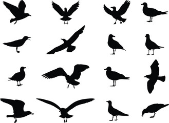 Fototapeta premium Silhouettes of birds in flight and perched, diverse avian shapes, black bird icons, wildlife design elements, vector illustration