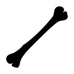 Bone anatomy illustration vector graphic skeletal system medical diagram bone structure design element © Suriya