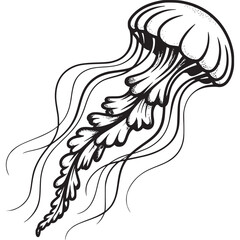 Fototapeta premium Black and white jellyfish illustration, sea creature, ocean animal, vector graphic