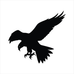 Silhouette of a hawk in flight with wings spread wide