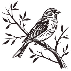 Fototapeta premium Minimalist Sparrow Silhouette