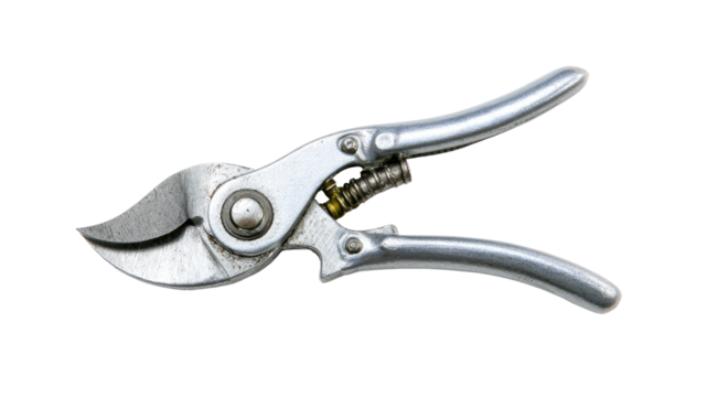 Close-up of metal pruning shears
