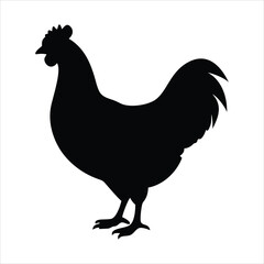 Black silhouette of a rooster standing on a white background