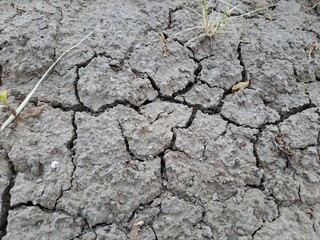 dry cracked earth