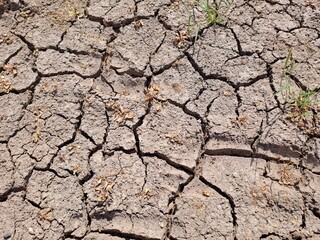 cracked earth background