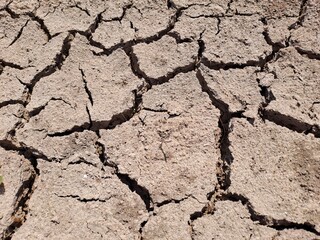 dry cracked earth