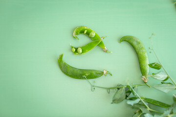 Summer pea harvest with natural green background