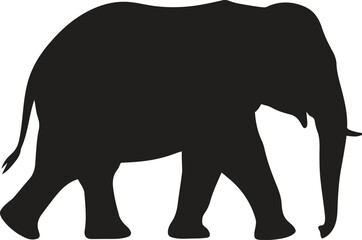 Silhouette of a majestic african elephant walking with its trunk down