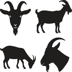 Collection of four black goat silhouettes on a white background