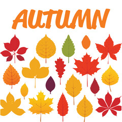 Autumn forest maple leaf in september season, flying orange foliage from tree on ground transparent background