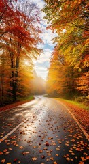 Fototapeta premium Scenic Autumn Road Lined With Vibrant Trees Bathed in Golden Sunlight After Rain Reflecting the Sky and Fallen Leaves Creating a Picturesque and Inviting Pathway Through the Season of Change