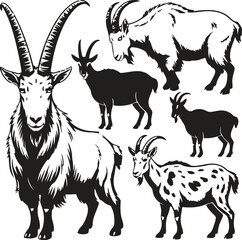 Collection of diverse goat breeds and styles in black and white illustration