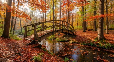 Obraz premium A charming wooden bridge arches over a gently flowing stream in a vibrant autumn forest, with fallen leaves carpeting the ground and trees ablaze with fall colors