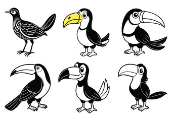 Cartoon Toucan Bird Vector Illustration Set