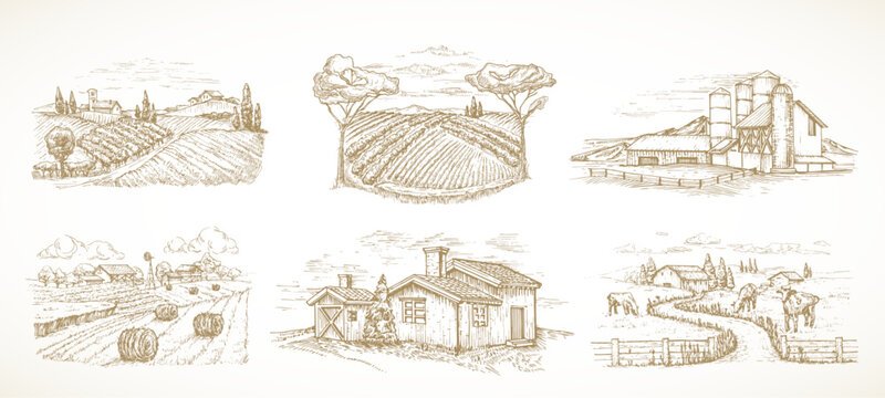 Farm Sketch Rustic Landscape Illustrations Set. Hand Drawn Vector Countryside Village Vineyard with Domestic Cattle Cow Animals, Haystacks Doodle. Engraving Style Pasture Drawing. Isolated