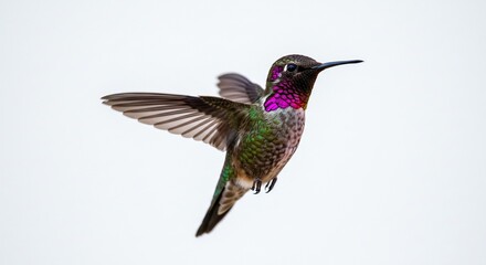 Fototapeta premium . AI Generated