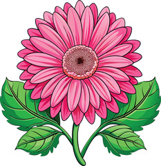 Pink Gerbera Daisy Flower with Two Green Leaves on Black Background vector illustration
