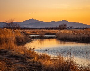 Fototapeta premium Golden sunset over a tranquil marsh