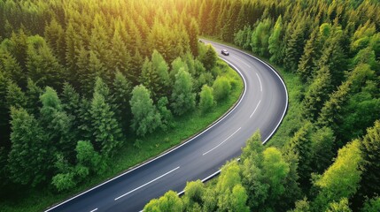 Aerial view car road forest summer. Aerial photo of a car traveling along a curvy road surrounded by lush green summer forest. Top view.