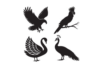 Silhouettes of four distinct birds including an eagle parrot swan and peacock