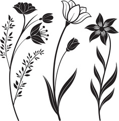 black and white floral background © Utpal