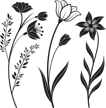 black and white floral background