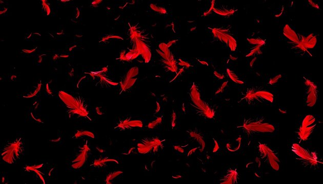 Red feathers falling on black background