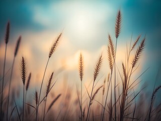 Soft focus close up of tall ornamental grass seed heads swaying gently in the warm golden light of a sunset with a dreamy blue sky background