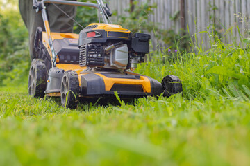 Obraz premium Yellow lawnmower on a background of green grass. A man mows dandelions with a lawnmower. Lawn mower cuts green grass.