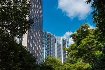  ビル街と植物