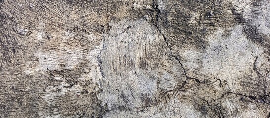 Brutalist Grunge Texture of a Cracked Concrete Surface