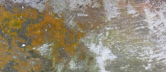 Colorful Organic Grunge Texture with Orange Moss